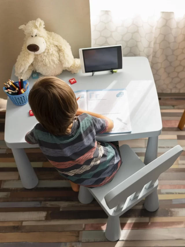 Ensino em Casa: Criando um Ambiente Inclusivo para Todos.